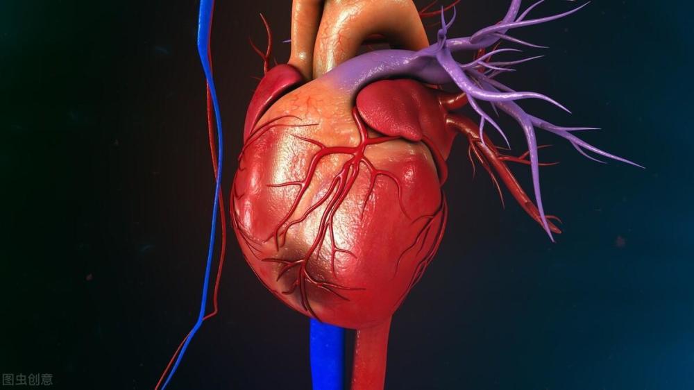 您的心脏健康吗？工作压力大的上班族如何呵护心脏？医生告诉您