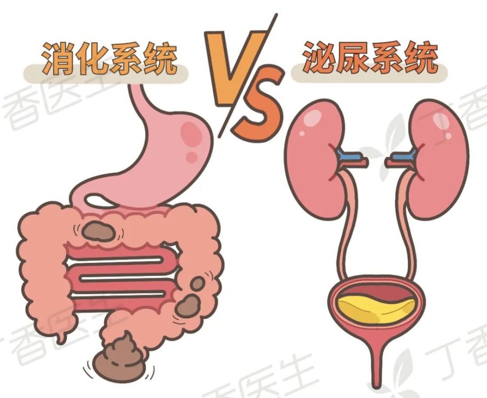 人拉屎时有一件事不能做，打赌你也不行（不是玩手机）