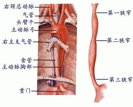 这种喂药方式严重可致窒息！想让孩子乖乖吃药，可以试试这样做