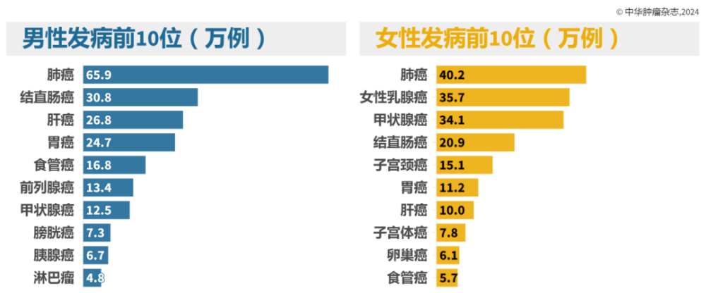 最新丨中国恶性肿瘤流行数据发布：肺癌占全部恶性肿瘤死亡的28.5%、在男女发病和死亡顺位中均居首位、超乳腺癌成女性第一大常见癌种