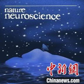 脑科学重大突破 中国团队实现斑马鱼全脑十万级神经元实时闭环研究