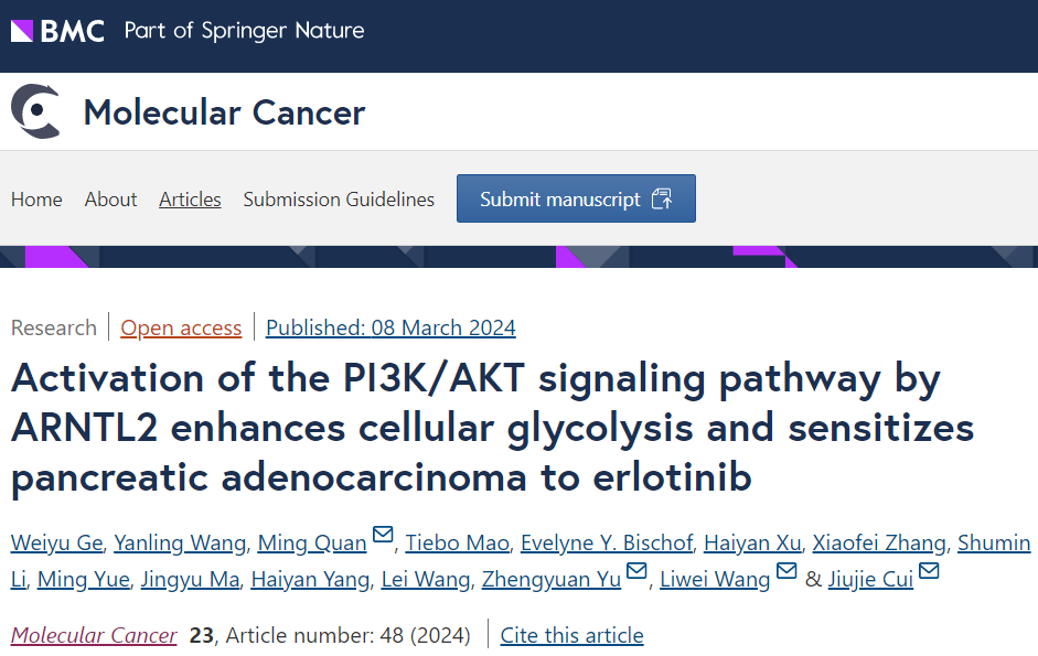 Mol Cancer | 上海交通大学崔玖洁/王理伟等团队合作发现胰腺腺癌对厄洛替尼增敏的潜在新策略