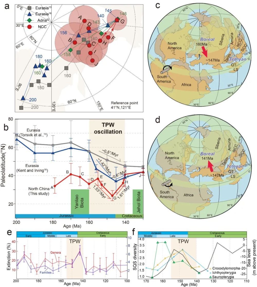 侯祎斐 赵盼-NC：晚侏罗世-早白垩世振荡真极移事件