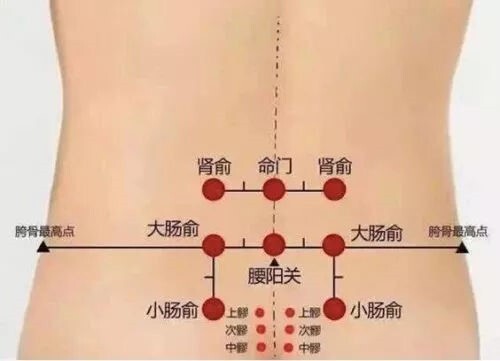 世界肾脏日 | 中医五个小动作保护我们的“肾”