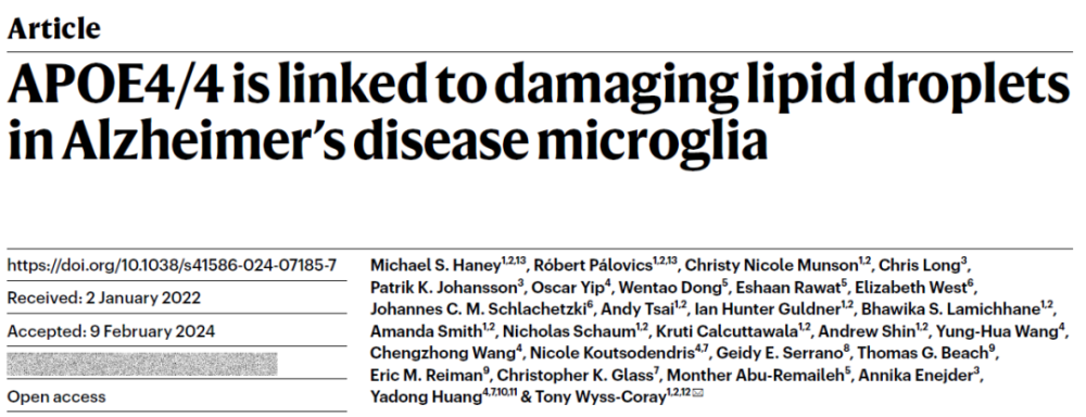 《自然》重磅：被忽略百年的发现终获证实！阿尔茨海默病的隐藏“元凶”找到了