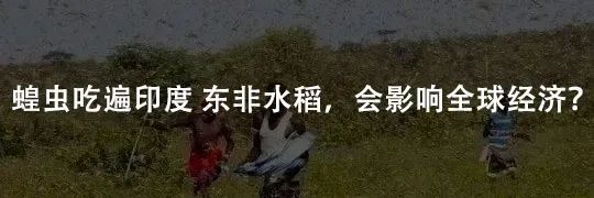 民粹主义在伤害企业家的同时也在摧毁中国经济