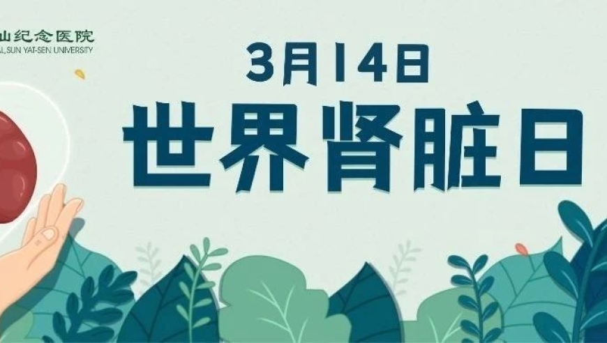 世界肾脏日：逸仙专家教您，通过尿常规，捕捉肾脏的小信号。