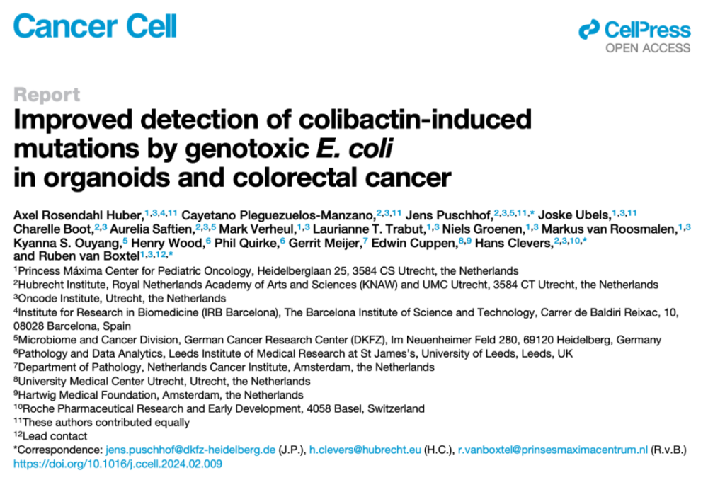 类器官之父发表Cancer Cell论文：揭示大肠杆菌的基因毒性作用