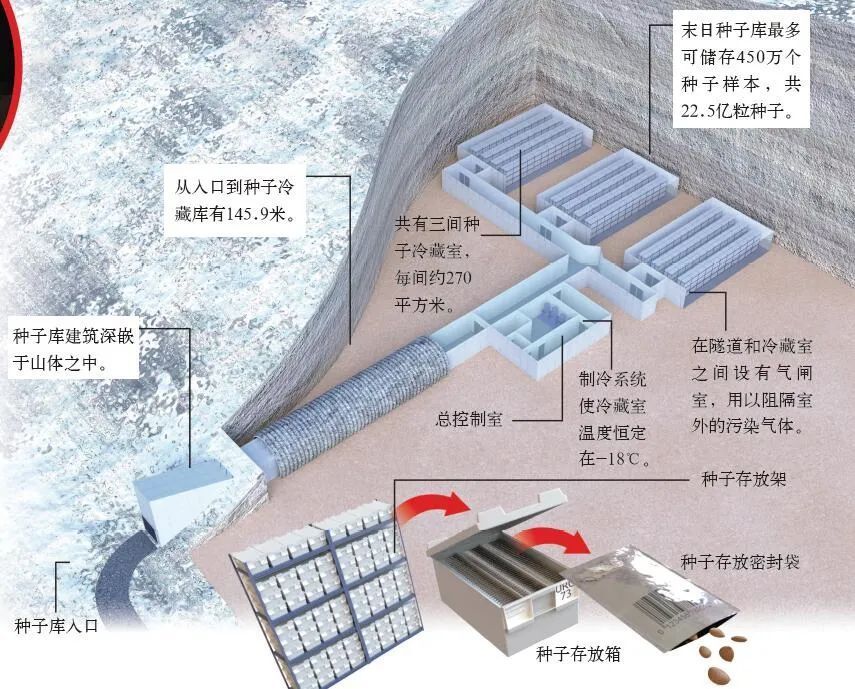 最后的粮仓： 末日种子库