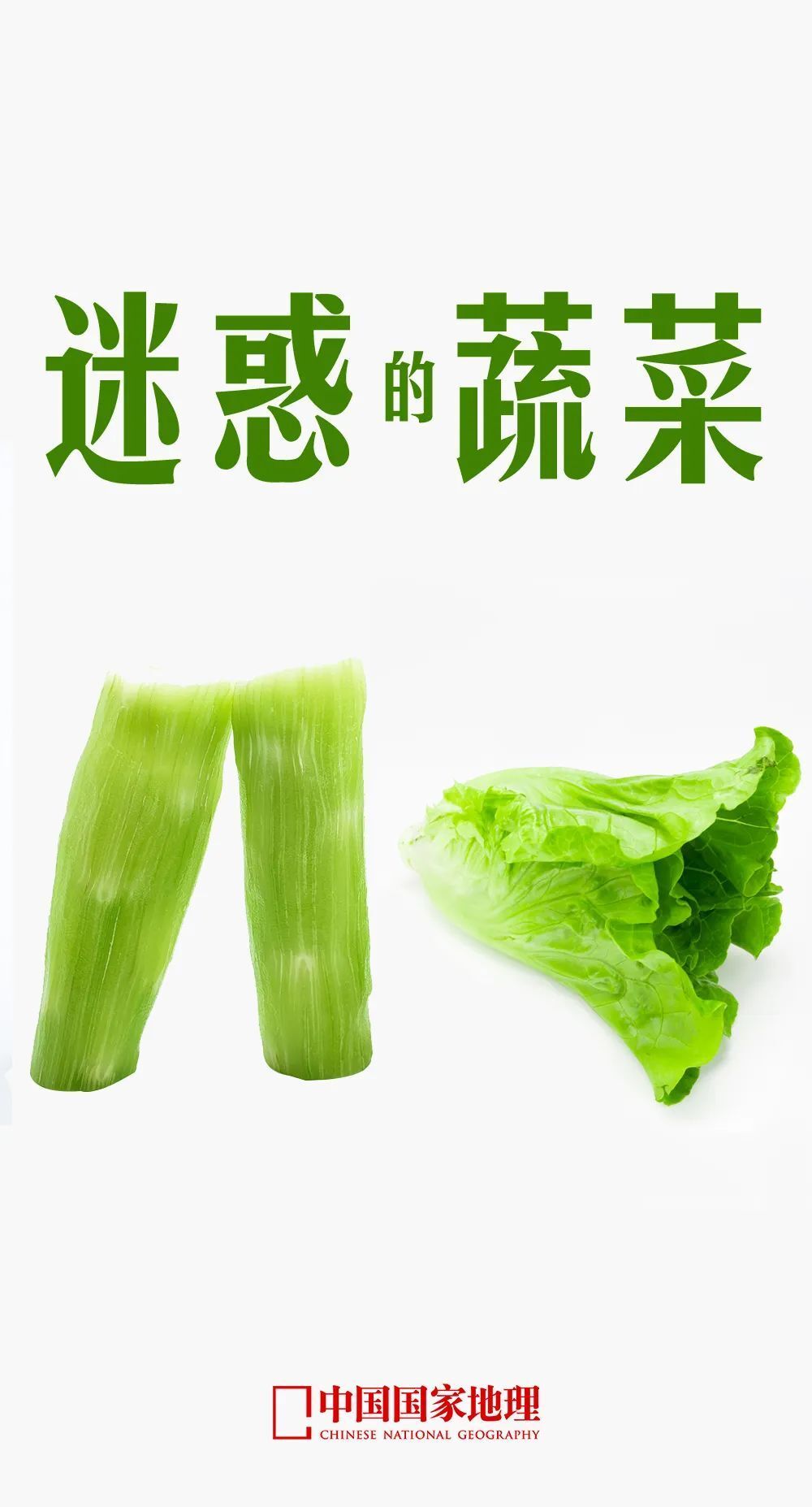 贡菜、莴笋和生菜；毛豆和黄豆，它们是什么关系？