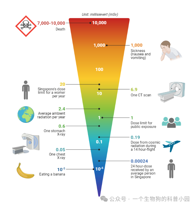 健康人不该用CT做“体检”，但一次CT增加癌症风险43%之说实属误导