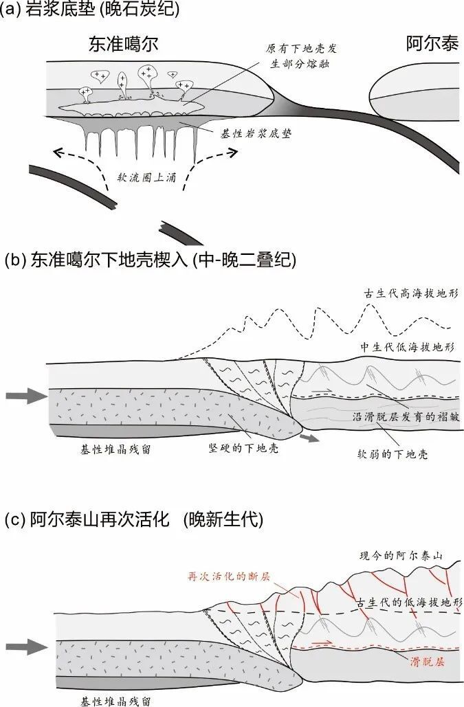 杨旭松等-JGR-SE: 离板块边界最远的阿尔泰造山带如何形成？