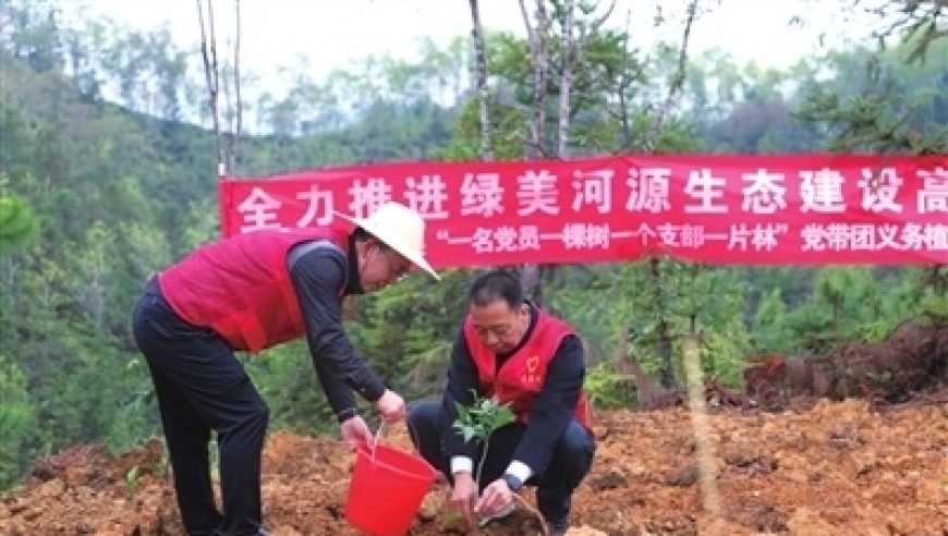 河源教育人，党员师生齐动手，植树造林绿满园。