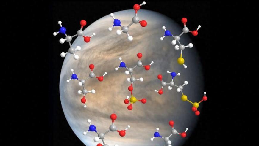 研究证实金星上的云层可能存在生命形态。