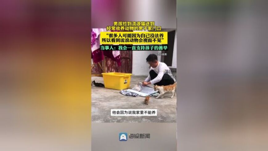 男孩看到流浪猫后，将它送到了养猫的人家。主人对此表示感谢，并承诺会一直关注这个孩子。