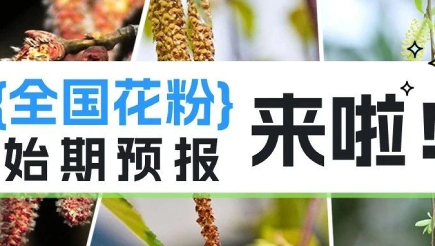 赏花又害怕花粉过敏？看这篇全国花粉预报指南，保护自己！