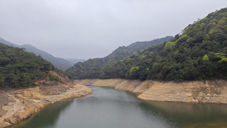 超级中华秋沙鸭，终于在广东台山出现。