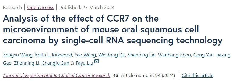 "开创革命性新疗法：中国医科大学揭示肿瘤独特免疫治疗靶点，显著抑制癌细胞生长并重塑微环境"