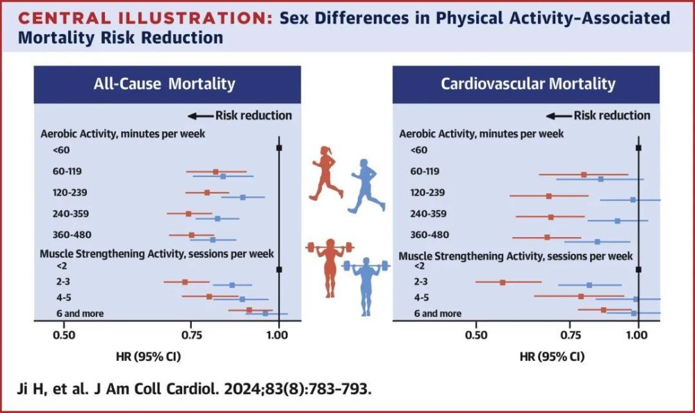 "确保安全：男性需消耗300分钟进行运动才能抵消女性140分钟的生命保护"