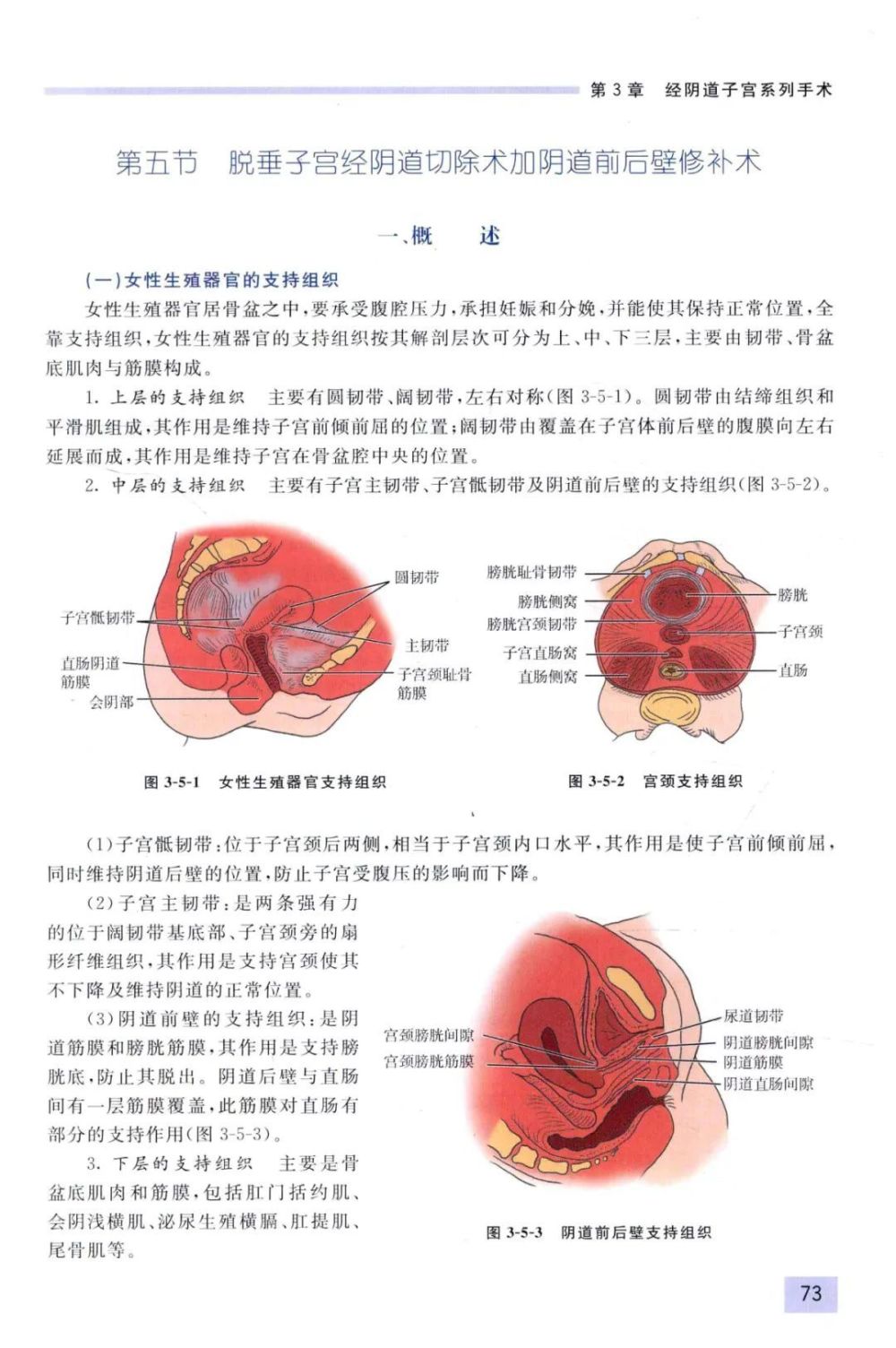 "全面解析：经阴子宫全切除与阴道前后壁修补术的视觉展示及操作流程详解——图解剖析（详解版）"