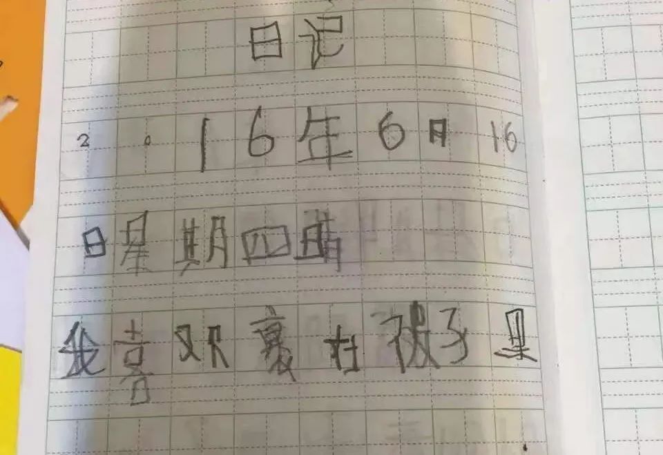 "笔触里绽放的谦谦——《孤独症男孩日记：见证非凡的谦逊》"