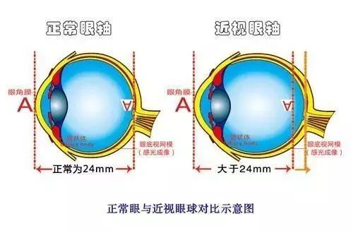 "高效沟通技巧：提升视力、远离近视，同仁眼科主任医师分享爱阅读之道"