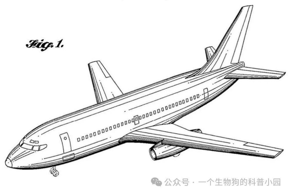 "揭秘七航空难背后的波音737MAX飞行奇迹：从低速爬升到极致速度，原因揭示究竟"