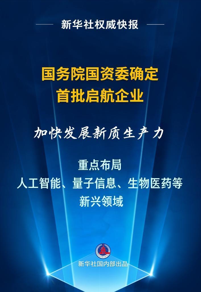 "国务院国资委积极推进建立首批创新型启航企业，推动产业升级与高质量发展：探索关键能力提升新路径"