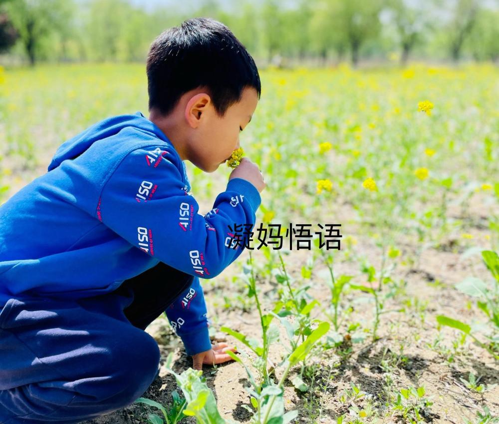 "创意儿童活动：寓教于乐的亲子花艺探索：从花卉知识到语言表达力提升之妙招指南"