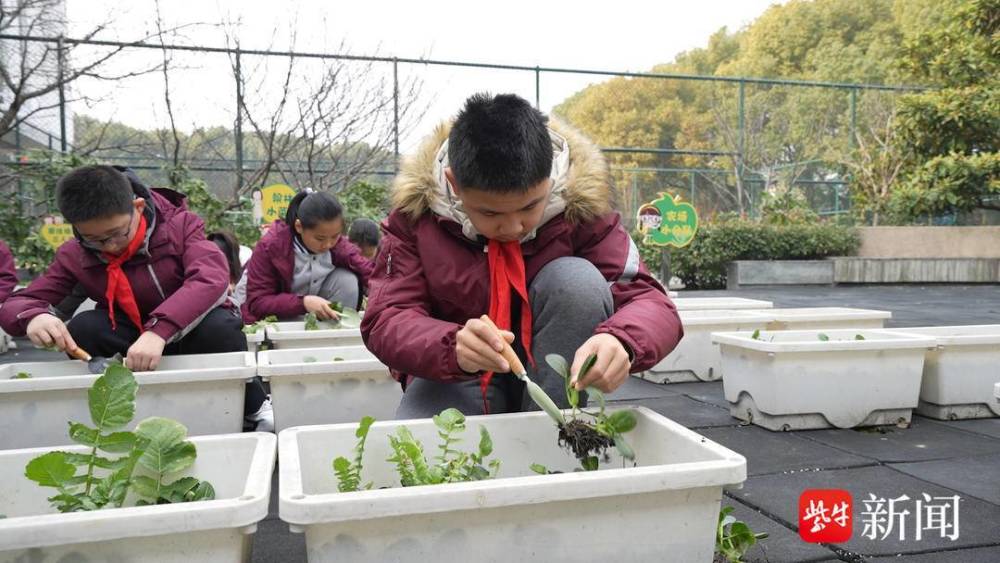 "融入多元文化元素——浸润苏州工业园区文景实验学校课间活动嘉年华：温馨校园生活的又一精神支柱"