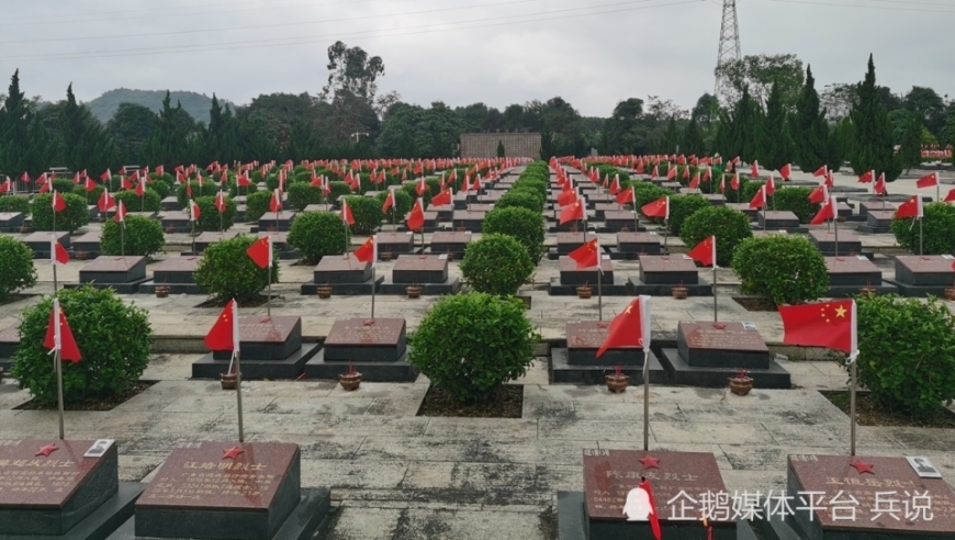 一师血洒疆场，绝境之下的殊死反击：揭示越军背后残酷牺牲背后的真相——揭秘战斗经历与伤亡原因剖析