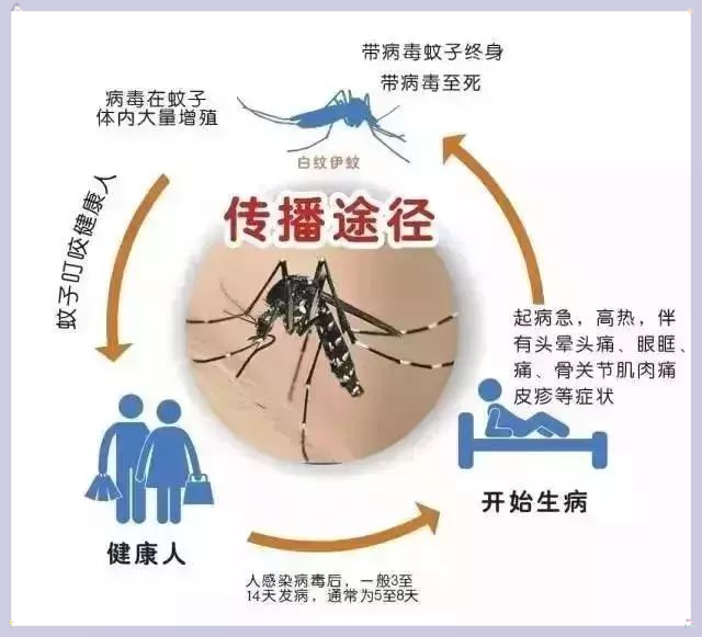 "全球累计确诊逾百万，超千万人感染威胁生命，大规模突感高热须警惕疫情最新动态与应对策略"