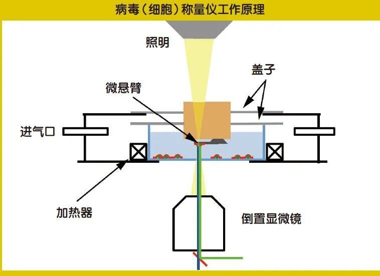 "揭秘网站称重背后的秘密：深度解析那些巧妙运用科技手段的网页计重策略"