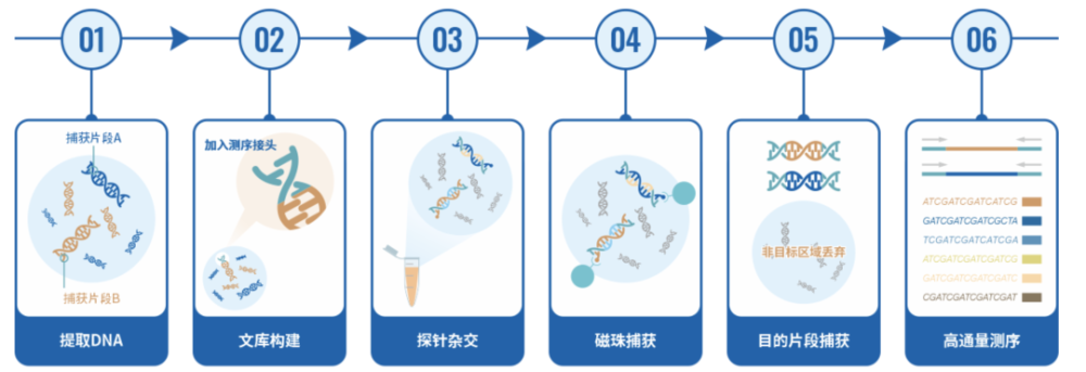 "揭秘科技前沿：基因检测与孩子天赋的深度探索：科学算命？是否真的能揭示孩子的未来潜力?"