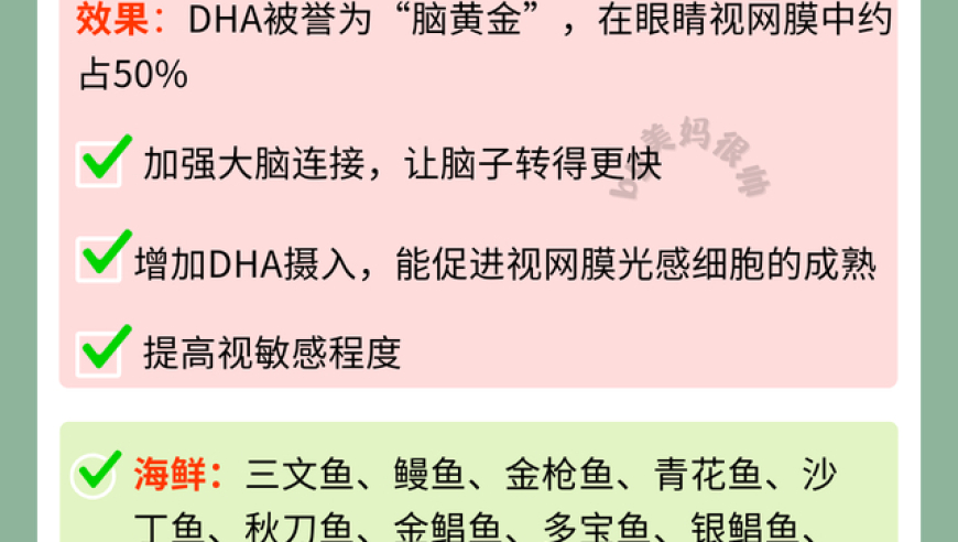 全方位营养均衡：揭秘孩子的学霸秘诀——揭秘多吃这3大类食物，助力孩子全方位发展视力与大脑健康