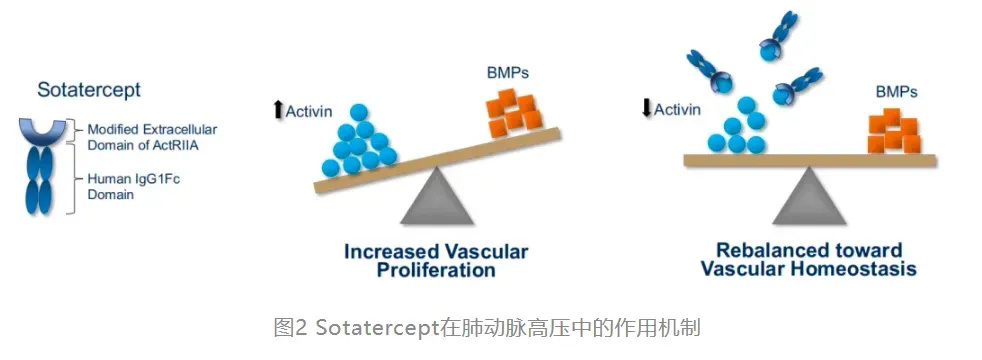 "默沙东批准全新突破：全球首个可用于治疗严重肺部疾病的产品曝光，每一瓶售价高达10万美元！"