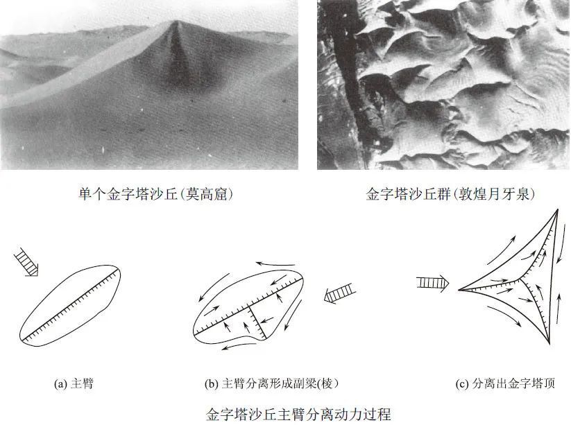 "屈建军：十年风沙灾害防治战果与经验分享——见证我国生态防护建设的创新与发展"