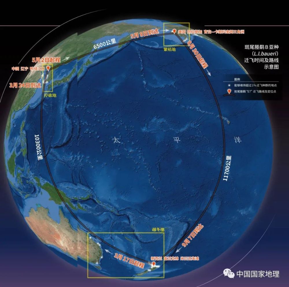 "中国各大观鸟圣地：探索万里翱翔的五处瑰宝，震撼鸟儿们的世界之旅"