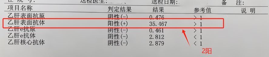 "揭开乙肝五项新面纱：阳性并非坏事，恭喜你拥有了健康的新标志！"