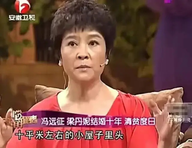 "反思与懊悔：叶檀抗癌经历疑虑与冯远征错过的悲欢离合，康辉的痛失与丁克的隐忧：为什么辛酸泪水背后的真相让人深思"