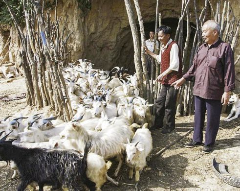 "延安时期的红色家风：时代的回响，中国梦的根与魂"