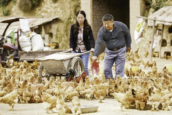 "延安时期的红色家风：时代的回响，中国梦的根与魂"