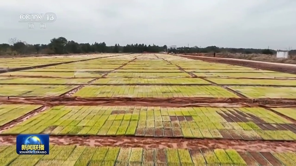 "助力各地春耕备耕，机械化与智能化齐发力，春天的田野因你们而加速奔跑!"