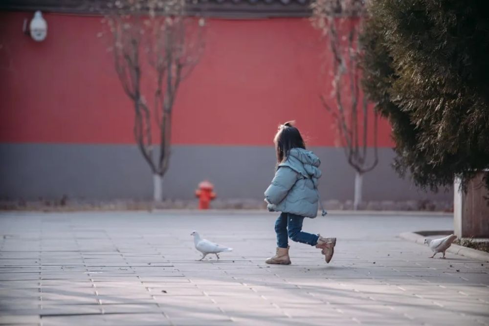 "一夜间走进寂静的寺庙，心灵的疗愈之旅从这里开始——‘入职’寺庙：精神内耗的解救"