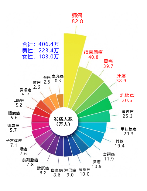 "中国近50%癌症患者需要我们的帮助：我们能做什么？"