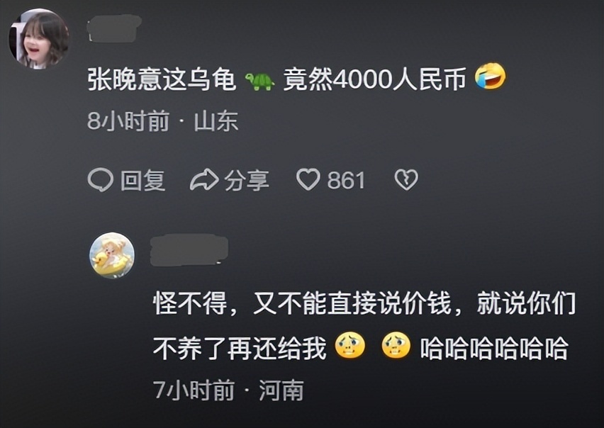 "张晚意赠予李雪琴毛不易一只小乌龟，售价4000元，网友：怪不得他曾叮咛不养了还能带回"