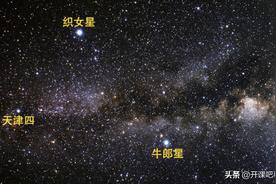 揭秘：牛郎星的神秘属性与它的星座归属