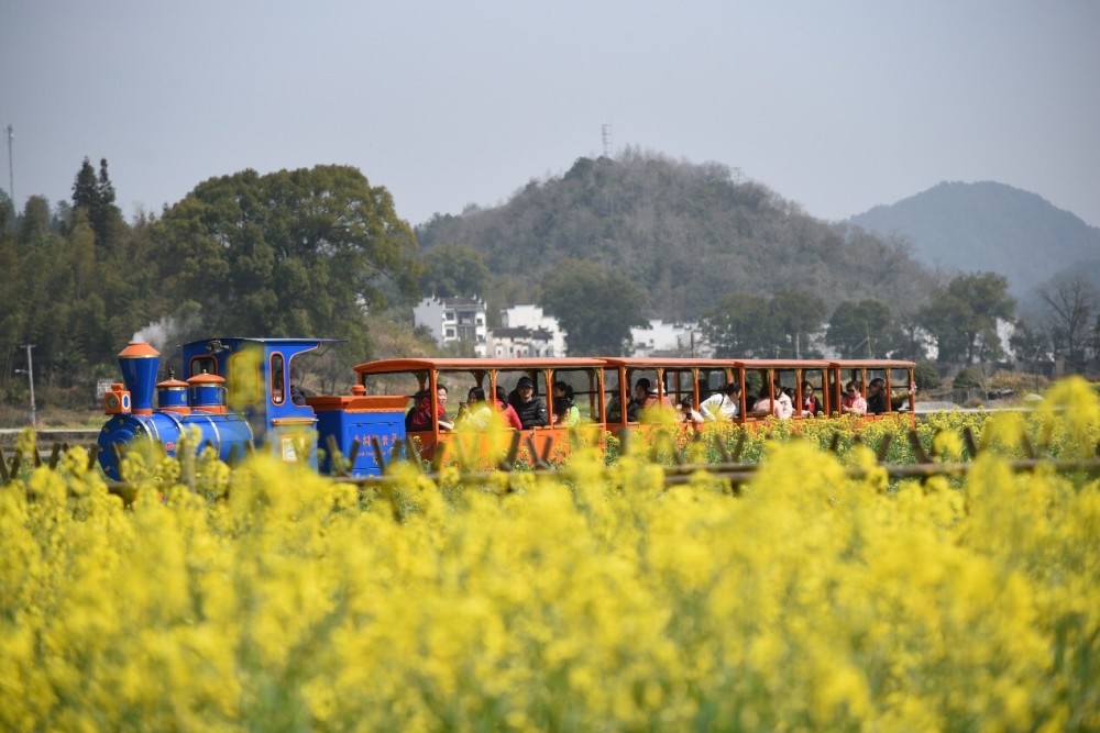 "清明节赏花游小城游：新的消费活力绽放，春天的旅游季再启航"