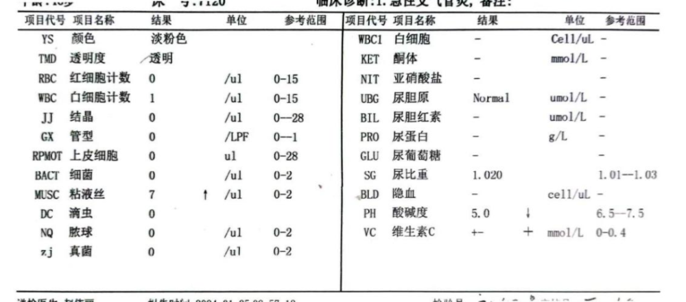 "网页技能与意外惊喜：让粉红色尿液成为网页设计亮点"