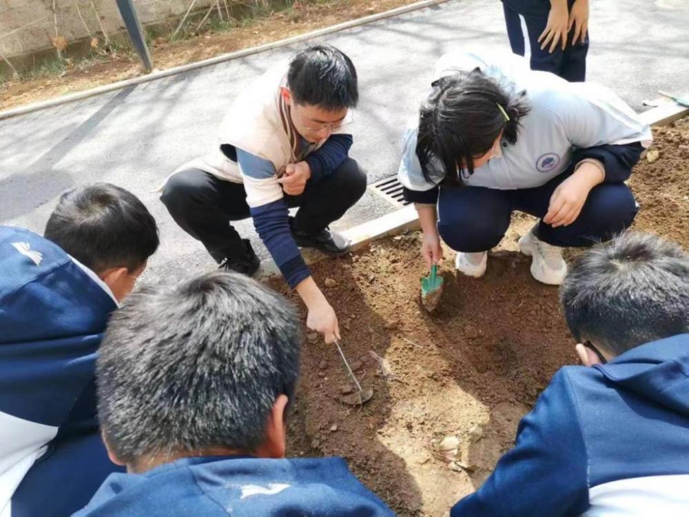 "青岛三十九中市北分校：让儿童在劳动课中玩转新鲜玩法"